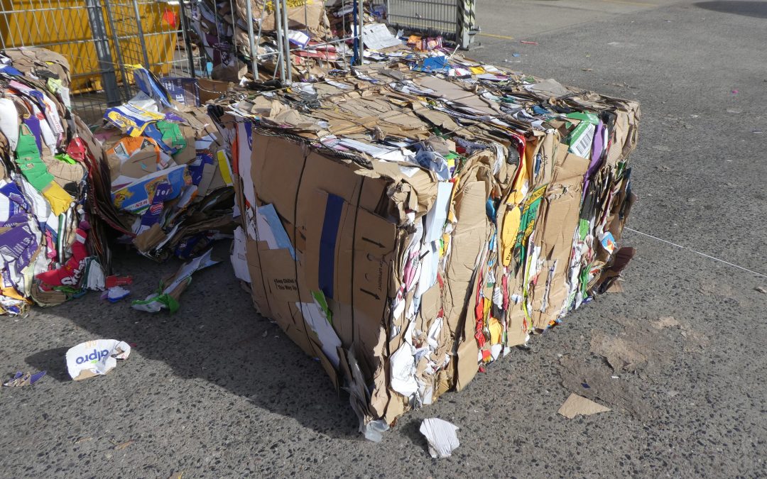 5 Reasons Why Cardboard Recycling Is Important