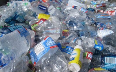 The Plastic Waste Journey: Where Does It Go?